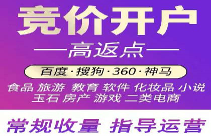 百度竞价SEM案例研究：提升转化率的关键策略